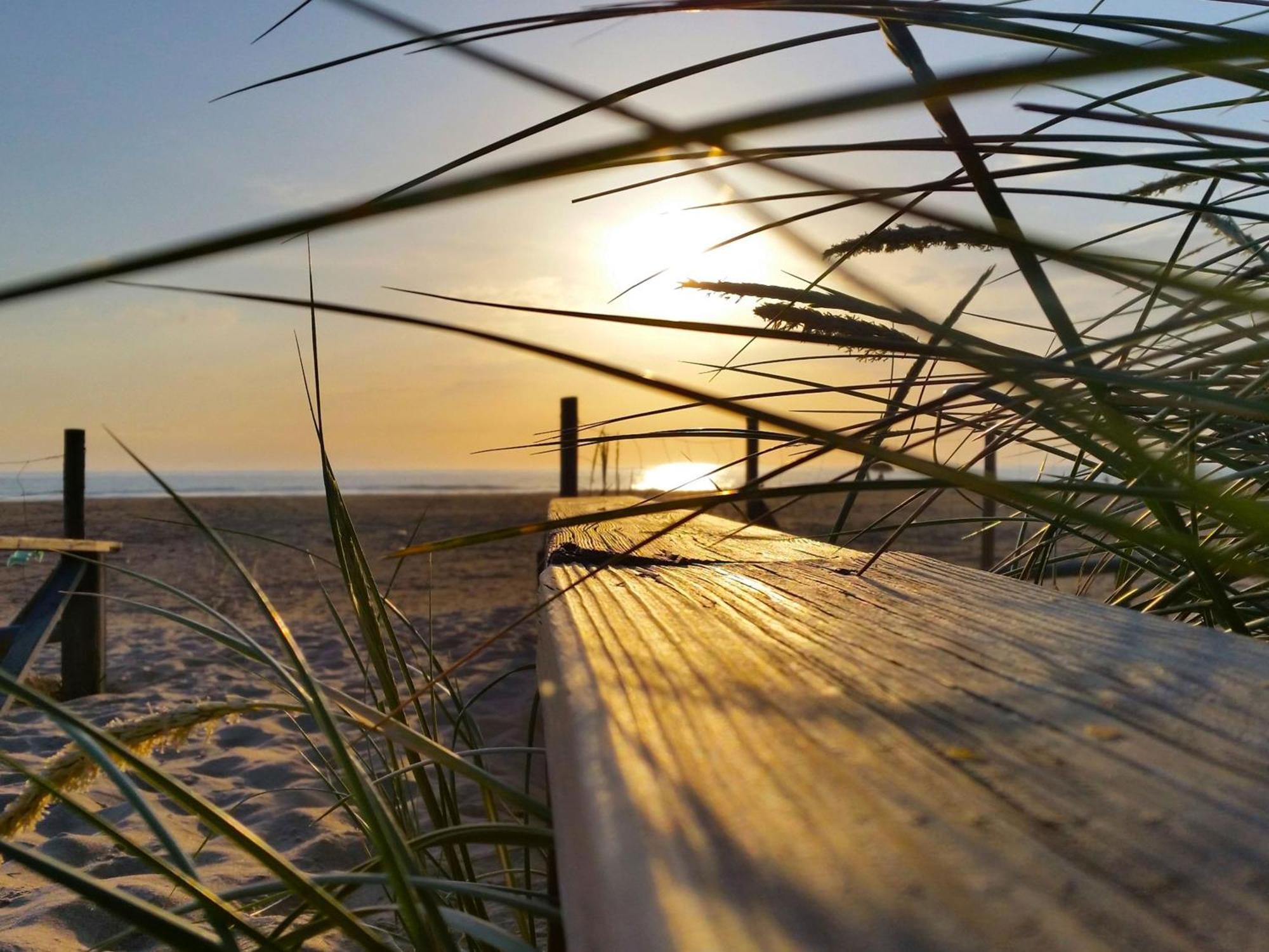 Agoodplan Dehesa De El Palmar Appartement Cádiz Buitenkant foto